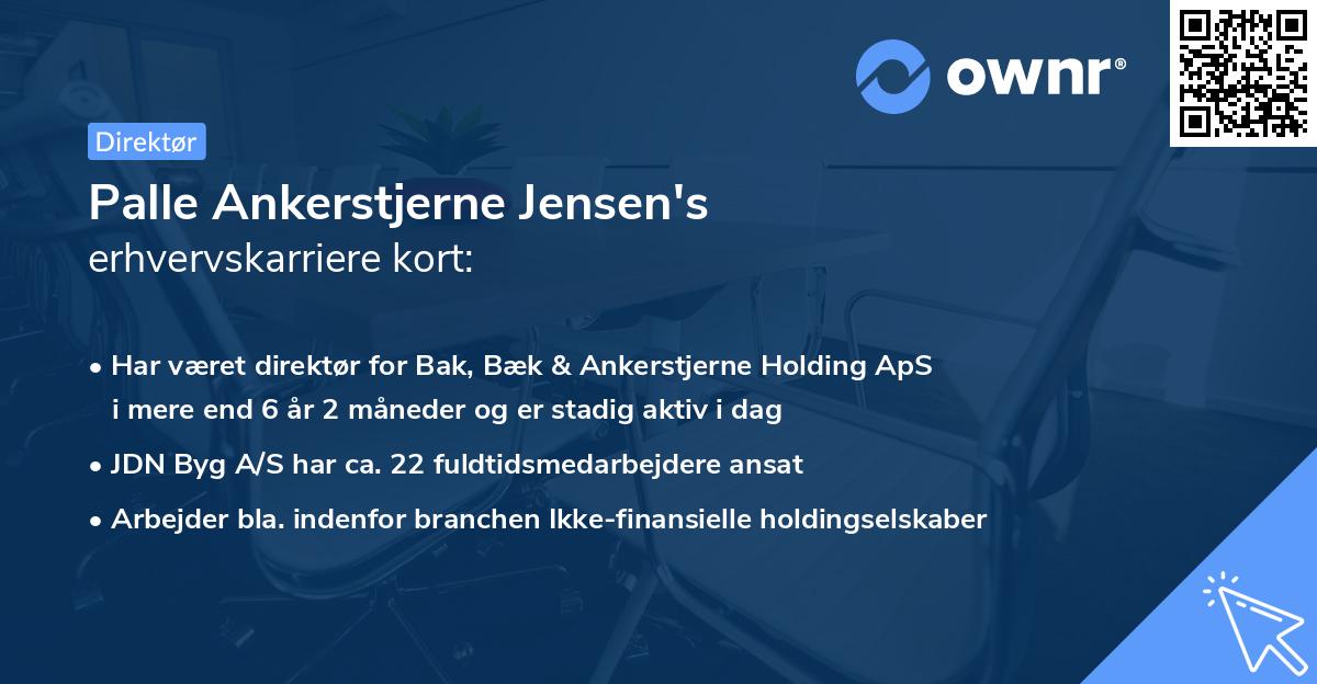 Palle Ankerstjerne Jensen's erhvervskarriere kort