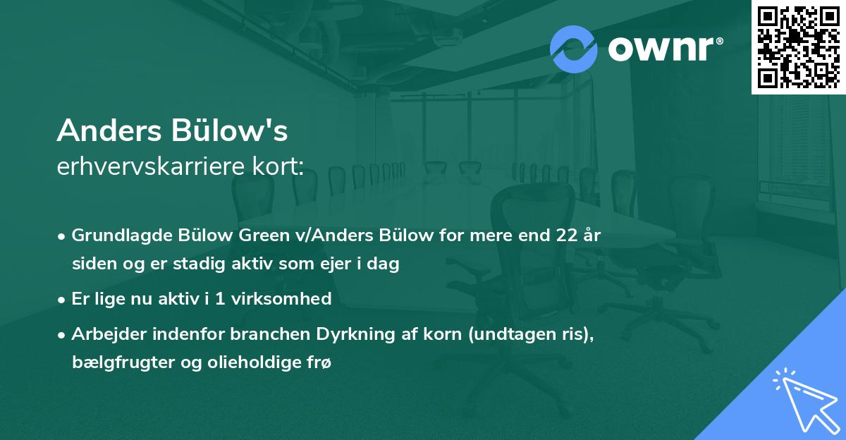 Anders Bülow's erhvervskarriere kort