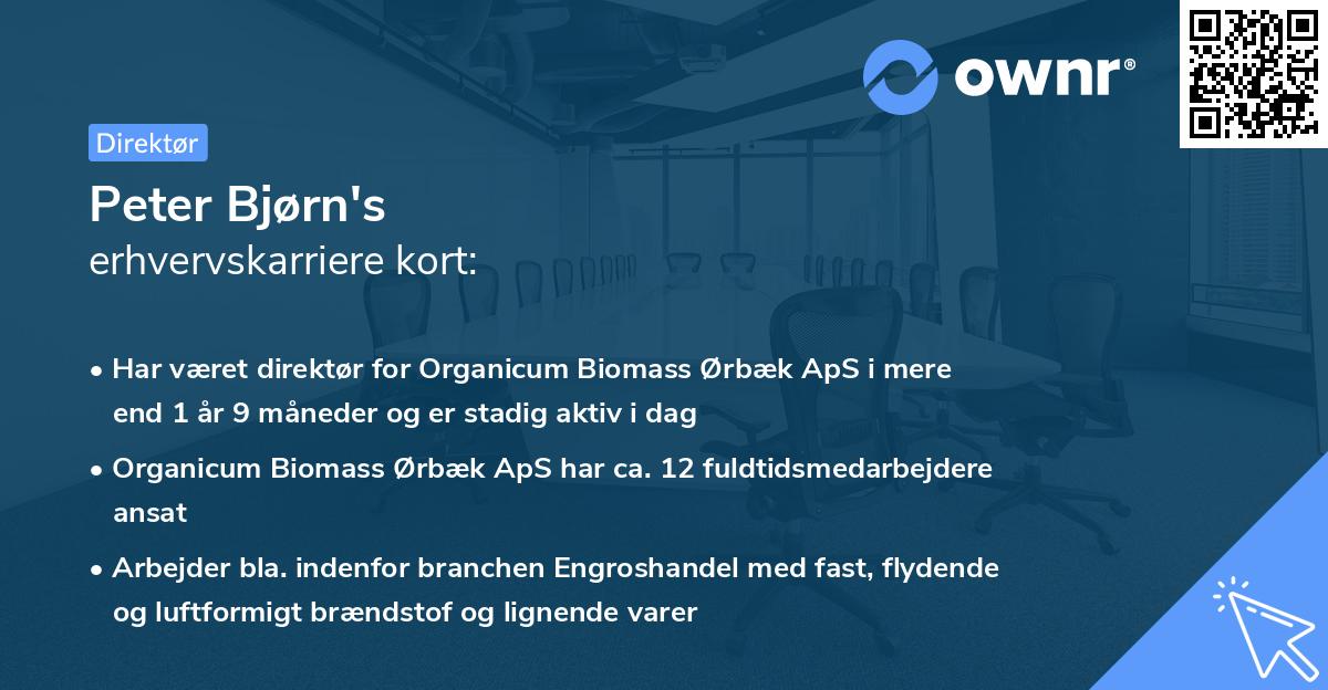 Peter Bjørn's erhvervskarriere kort