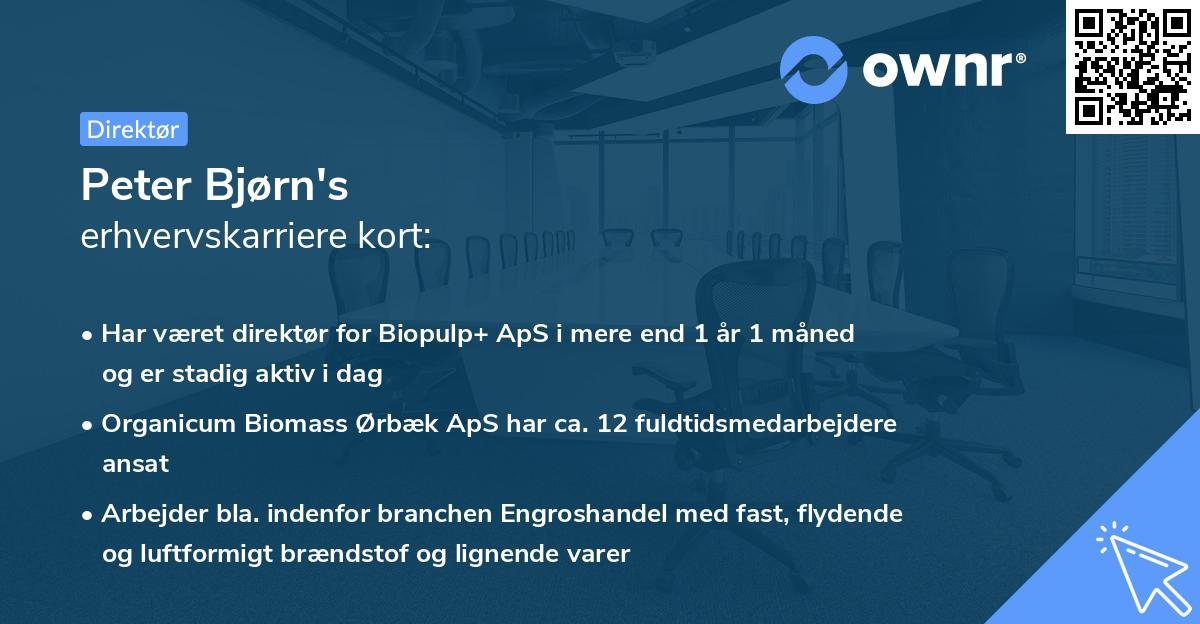 Peter Bjørn's erhvervskarriere kort