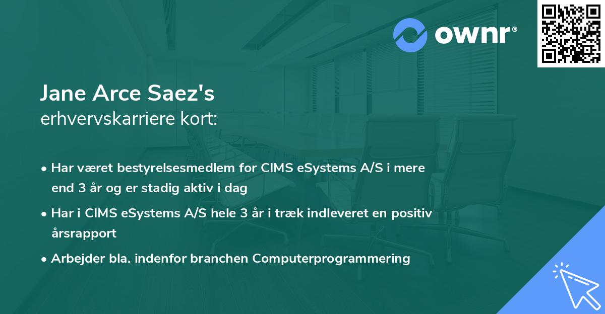 Jane Arce Saez's erhvervskarriere kort