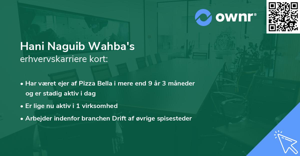 Hani Naguib Wahba's erhvervskarriere kort