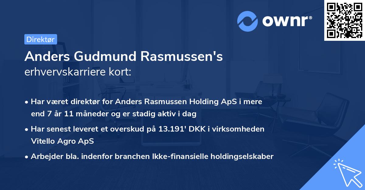 Anders Gudmund Rasmussen's erhvervskarriere kort