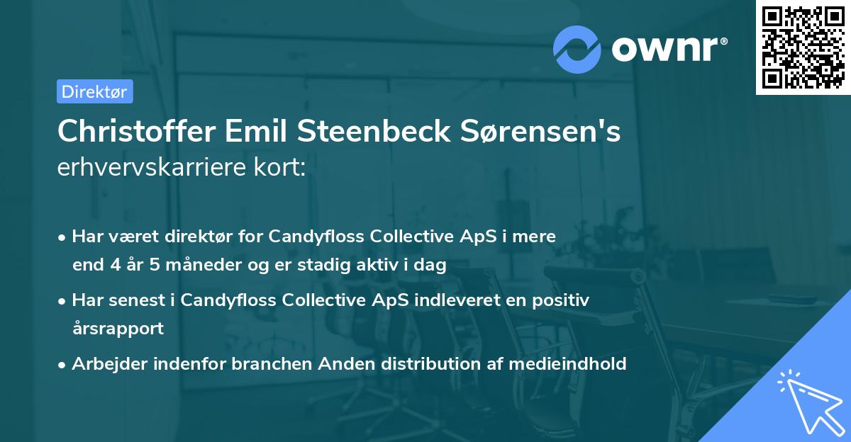 Christoffer Emil Steenbeck Sørensen's erhvervskarriere kort