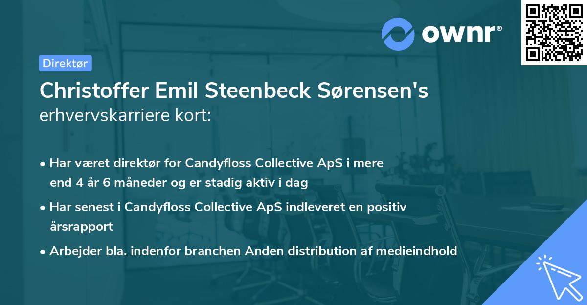 Christoffer Emil Steenbeck Sørensen's erhvervskarriere kort