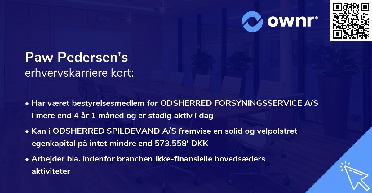 Paw Pedersen's erhvervskarriere kort