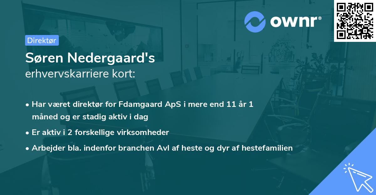 Søren Nedergaard's erhvervskarriere kort