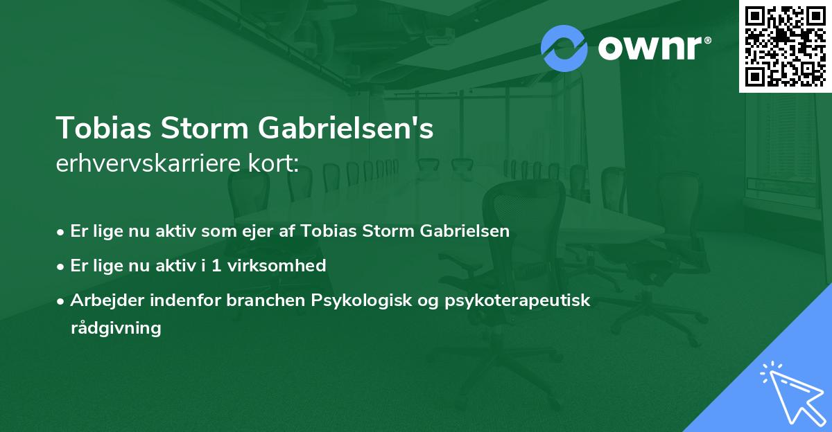 Tobias Storm Gabrielsen's erhvervskarriere kort