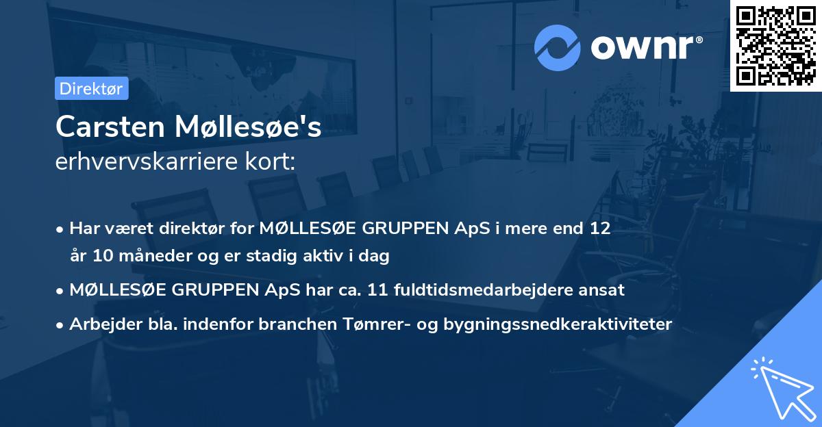 Carsten Møllesøe's erhvervskarriere kort