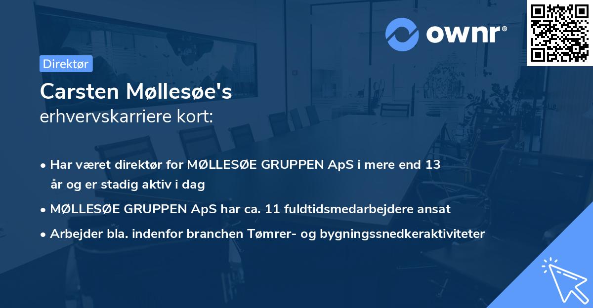 Carsten Møllesøe's erhvervskarriere kort