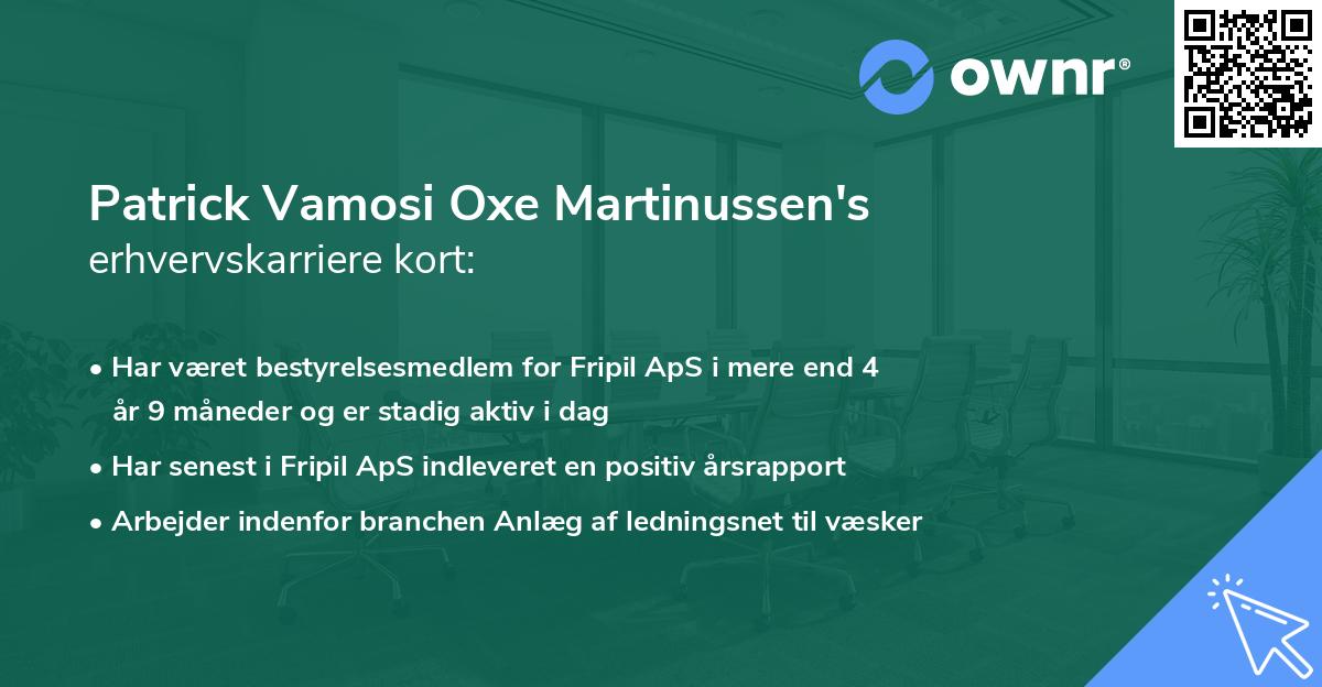 Patrick Vamosi Oxe Martinussen's erhvervskarriere kort