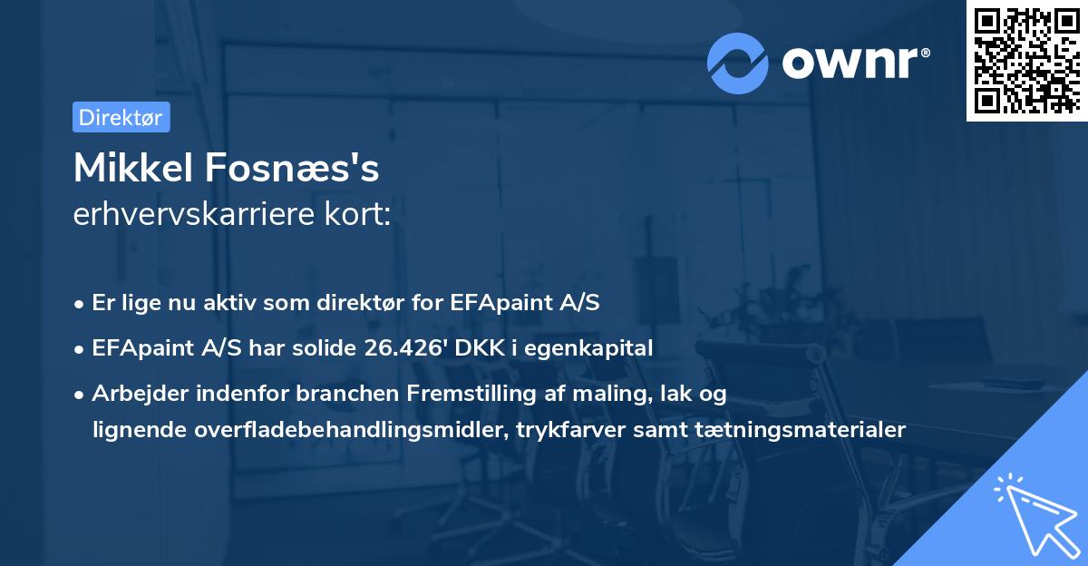 Mikkel Fosnæs's erhvervskarriere kort