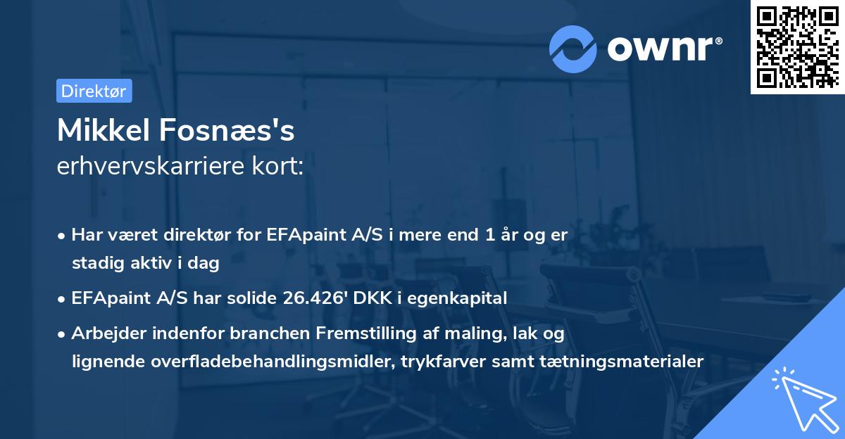 Mikkel Fosnæs's erhvervskarriere kort