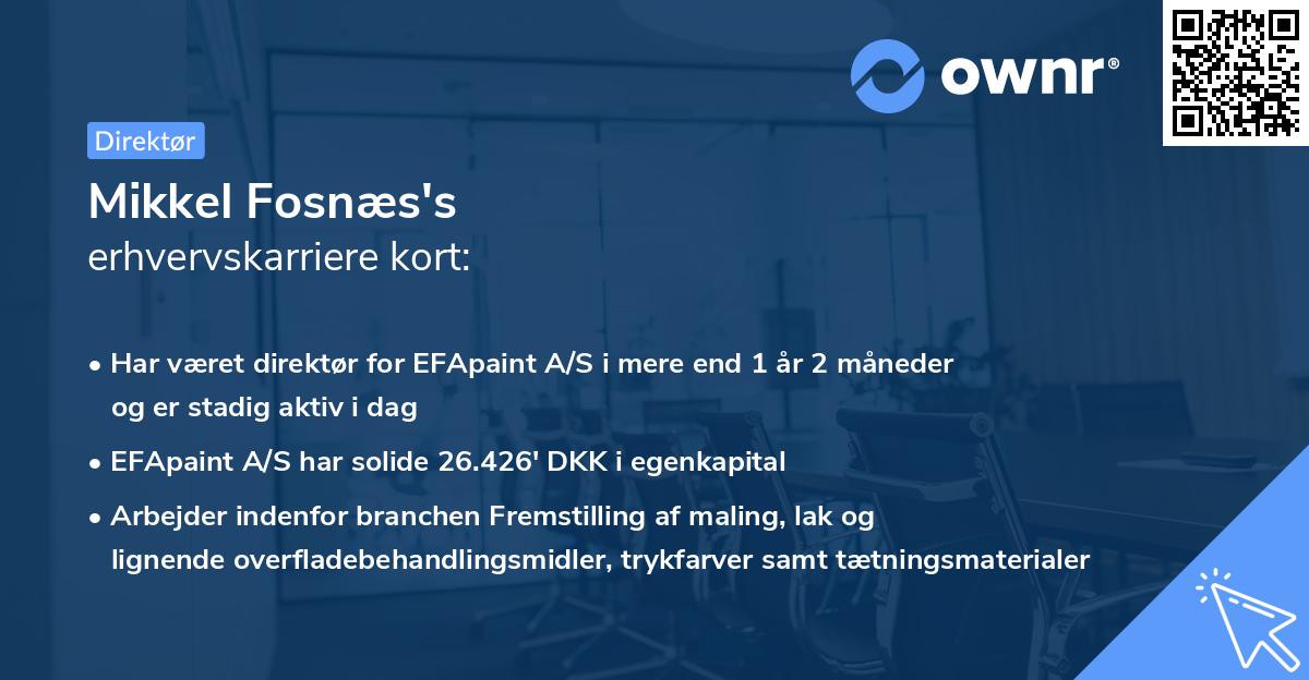 Mikkel Fosnæs's erhvervskarriere kort