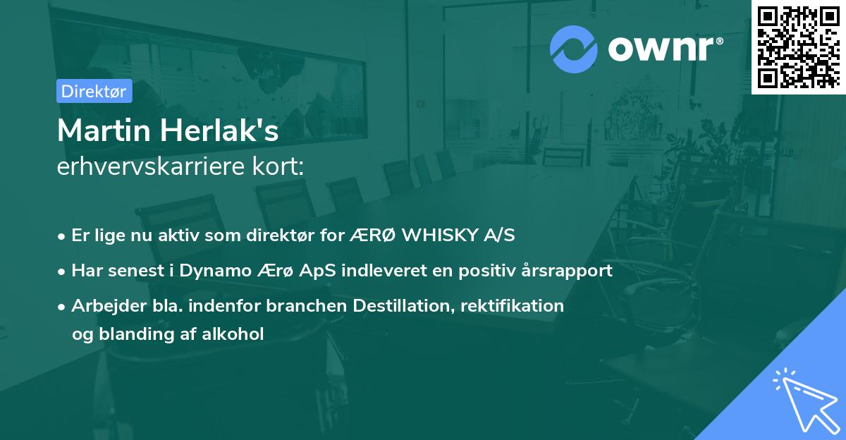 Martin Herlak's erhvervskarriere kort