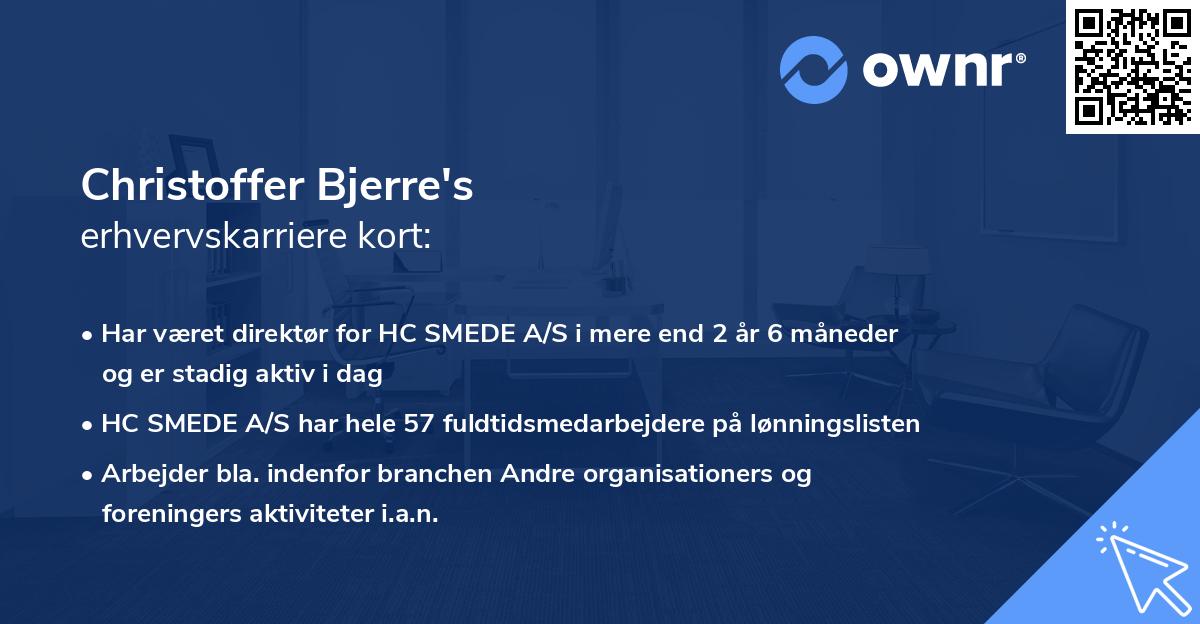 Christoffer Bjerre's erhvervskarriere kort