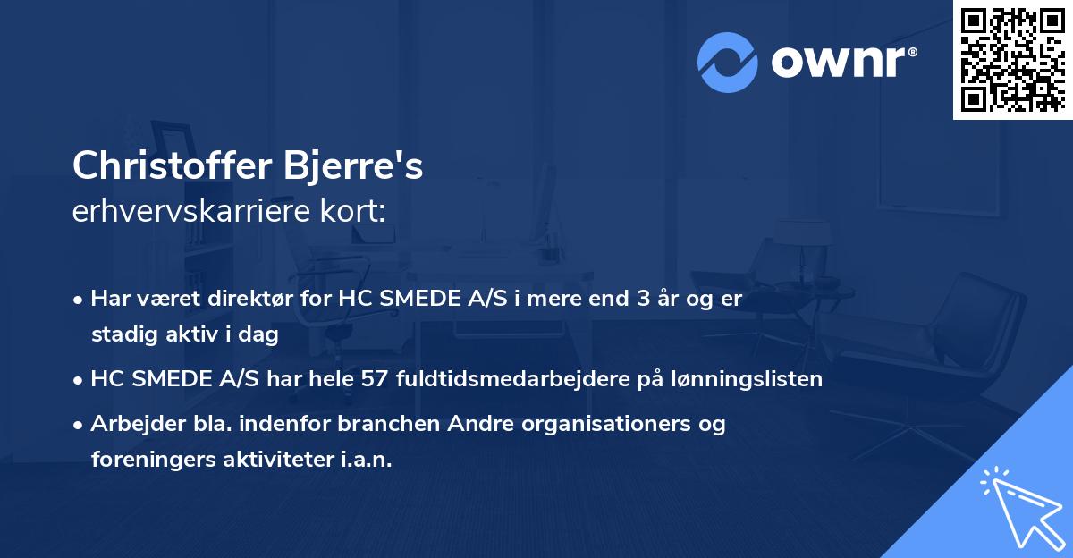 Christoffer Bjerre's erhvervskarriere kort