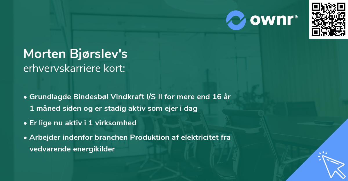 Morten Bjørslev's erhvervskarriere kort