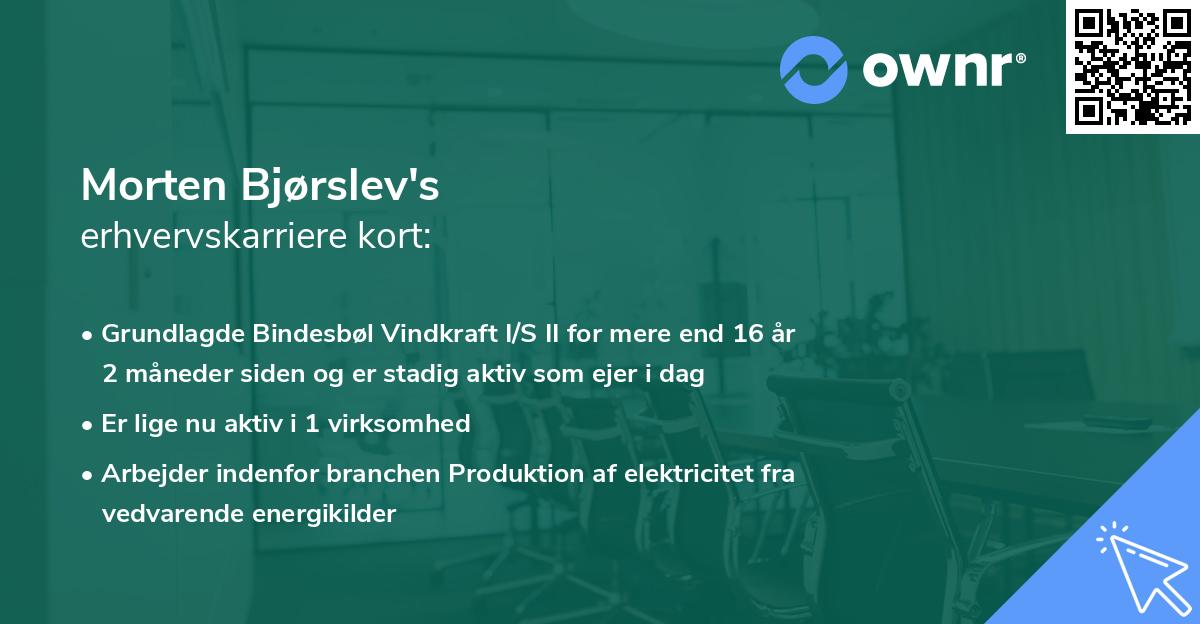 Morten Bjørslev's erhvervskarriere kort