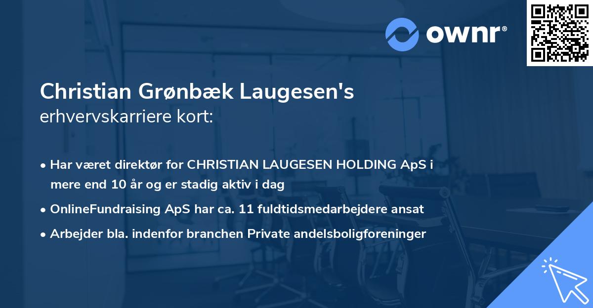 Christian Grønbæk Laugesen's erhvervskarriere kort