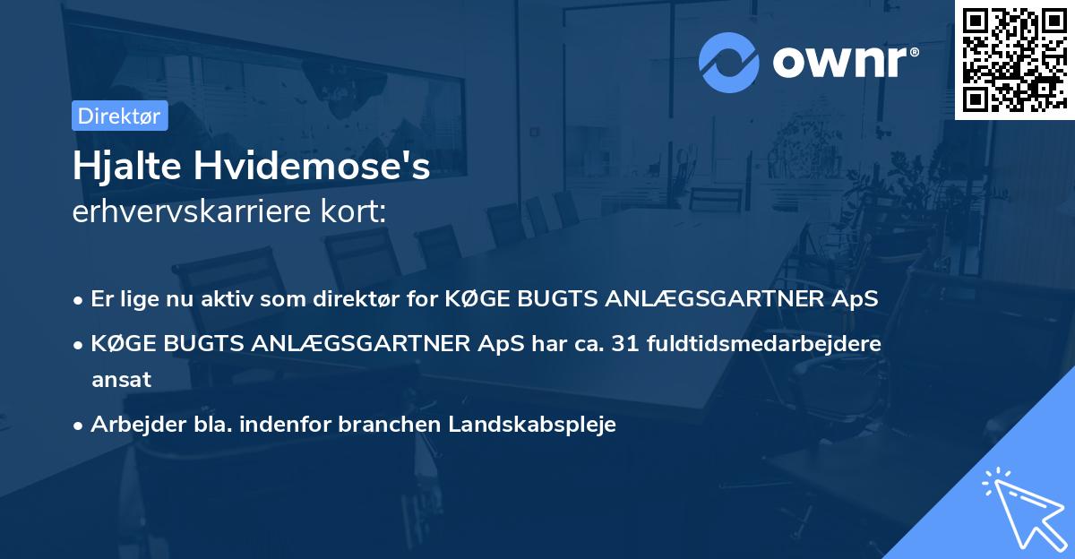 Hjalte Hvidemose's erhvervskarriere kort