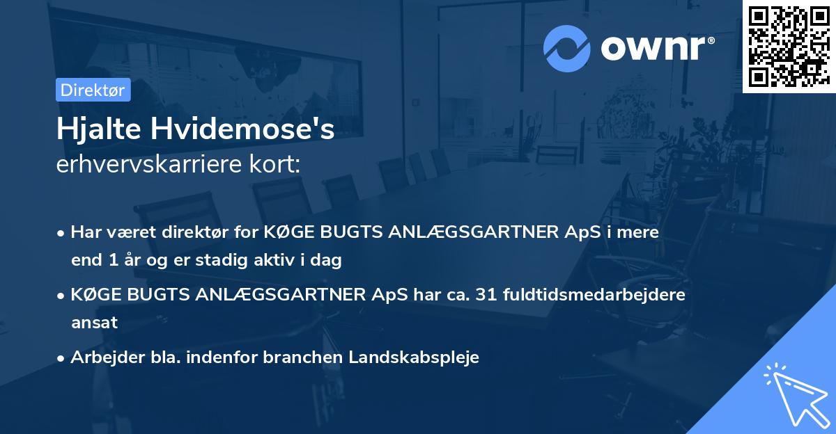 Hjalte Hvidemose's erhvervskarriere kort