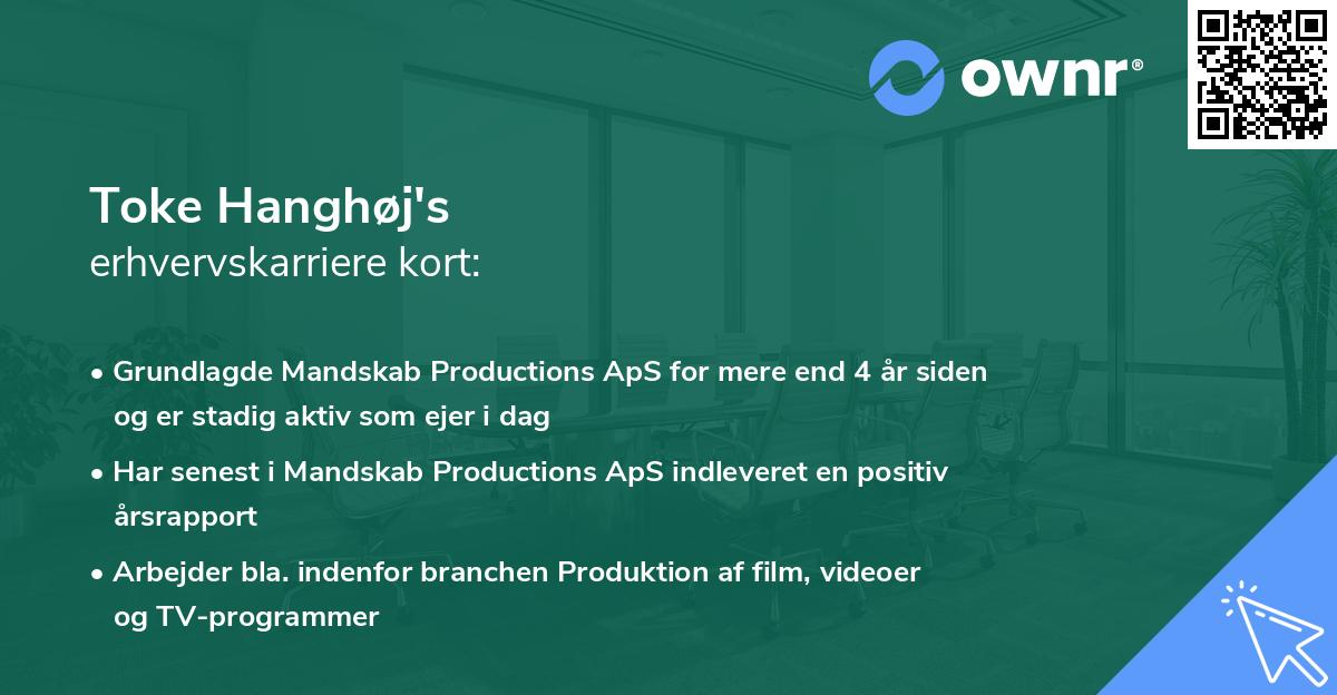 Toke Hanghøj's erhvervskarriere kort