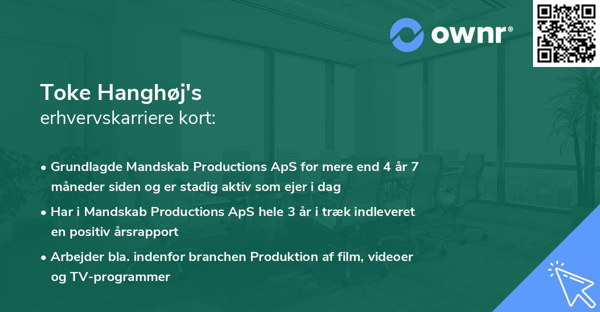 Toke Hanghøj's erhvervskarriere kort