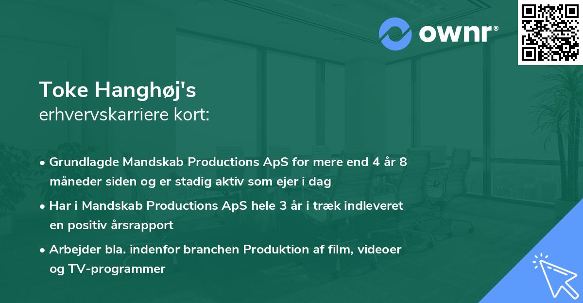 Toke Hanghøj's erhvervskarriere kort