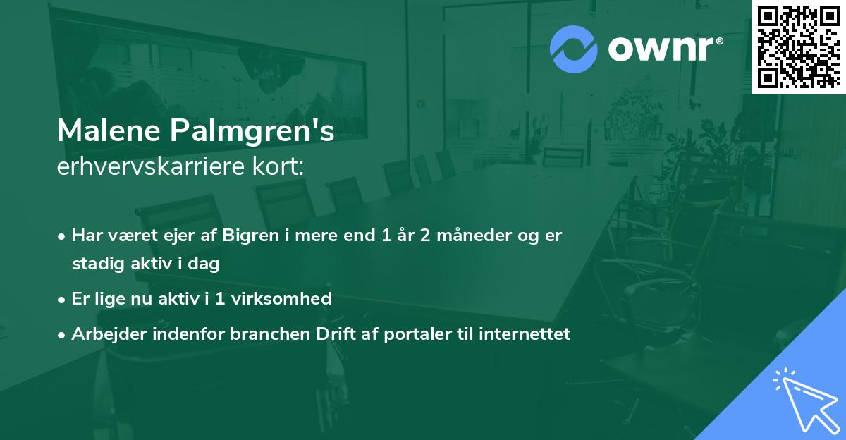 Malene Palmgren's erhvervskarriere kort