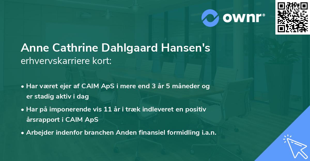 Anne Cathrine Dahlgaard Hansen's erhvervskarriere kort