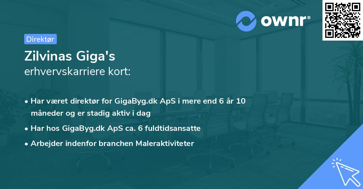 Zilvinas Giga's erhvervskarriere kort