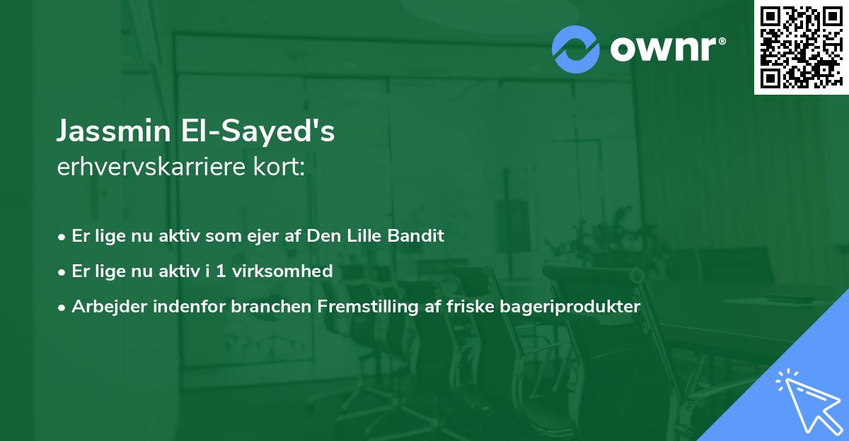 Jassmin El-Sayed's erhvervskarriere kort