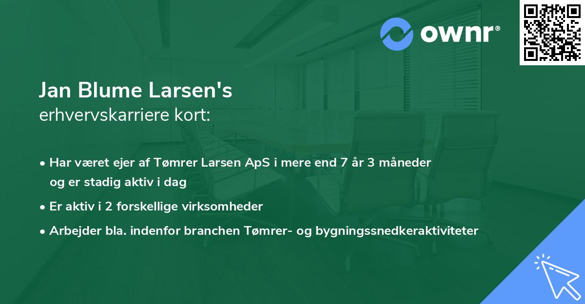 Jan Blume Larsen's erhvervskarriere kort
