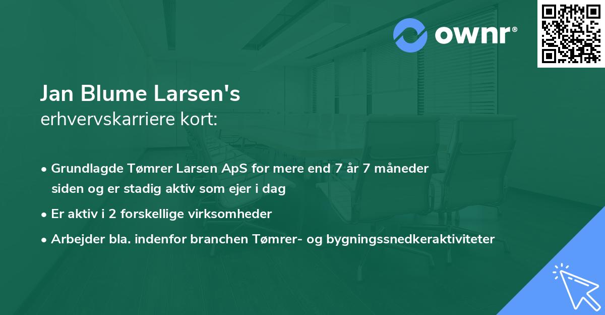 Jan Blume Larsen's erhvervskarriere kort