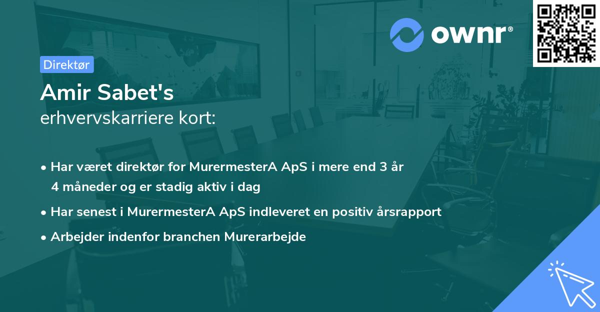 Amir Sabet's erhvervskarriere kort