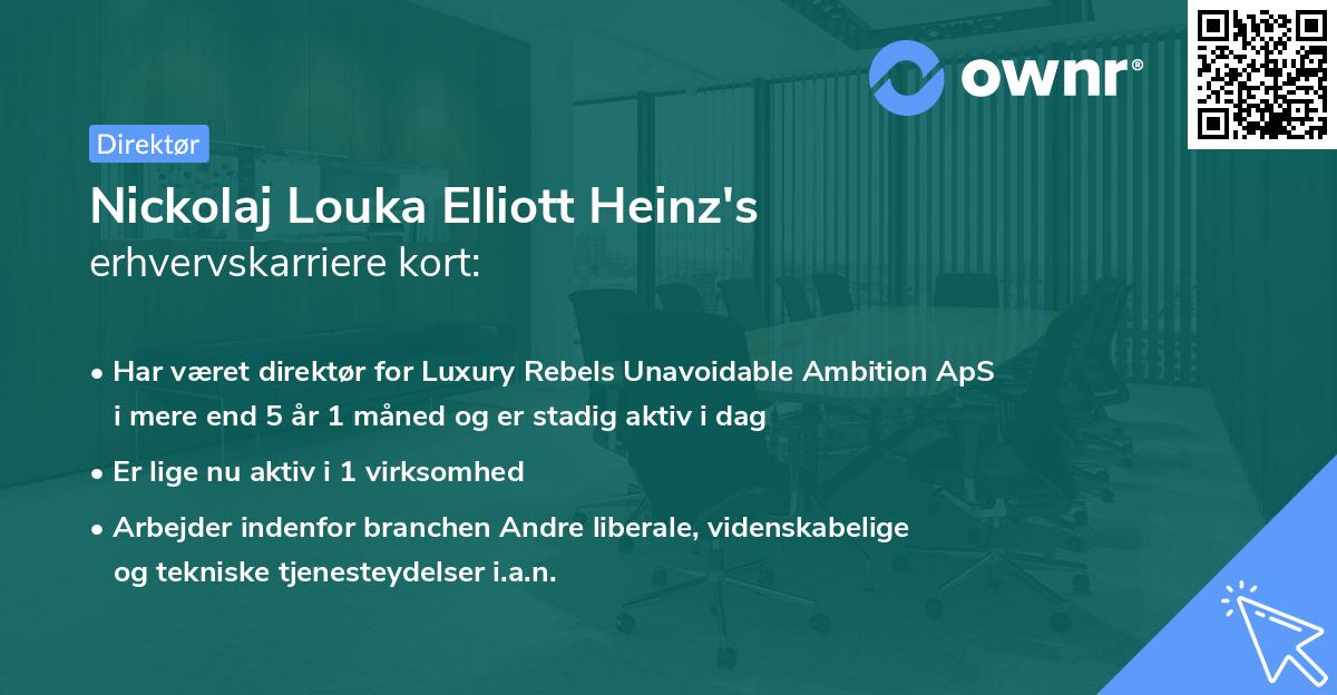 Nickolaj Louka Elliott Heinz's erhvervskarriere kort