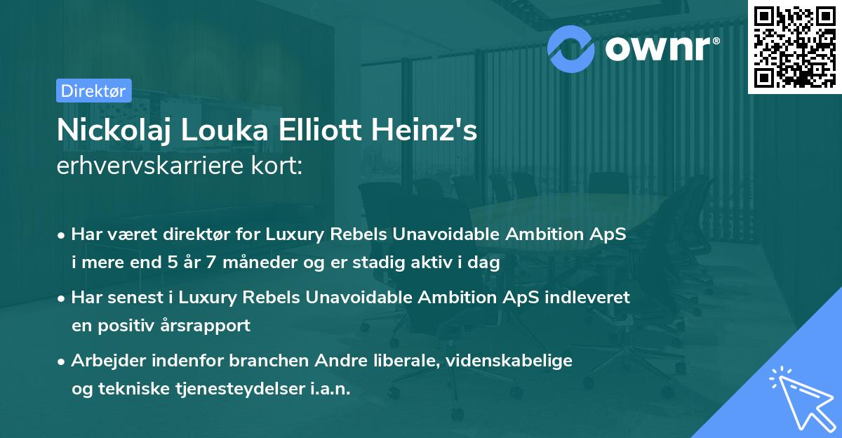 Nickolaj Louka Elliott Heinz's erhvervskarriere kort