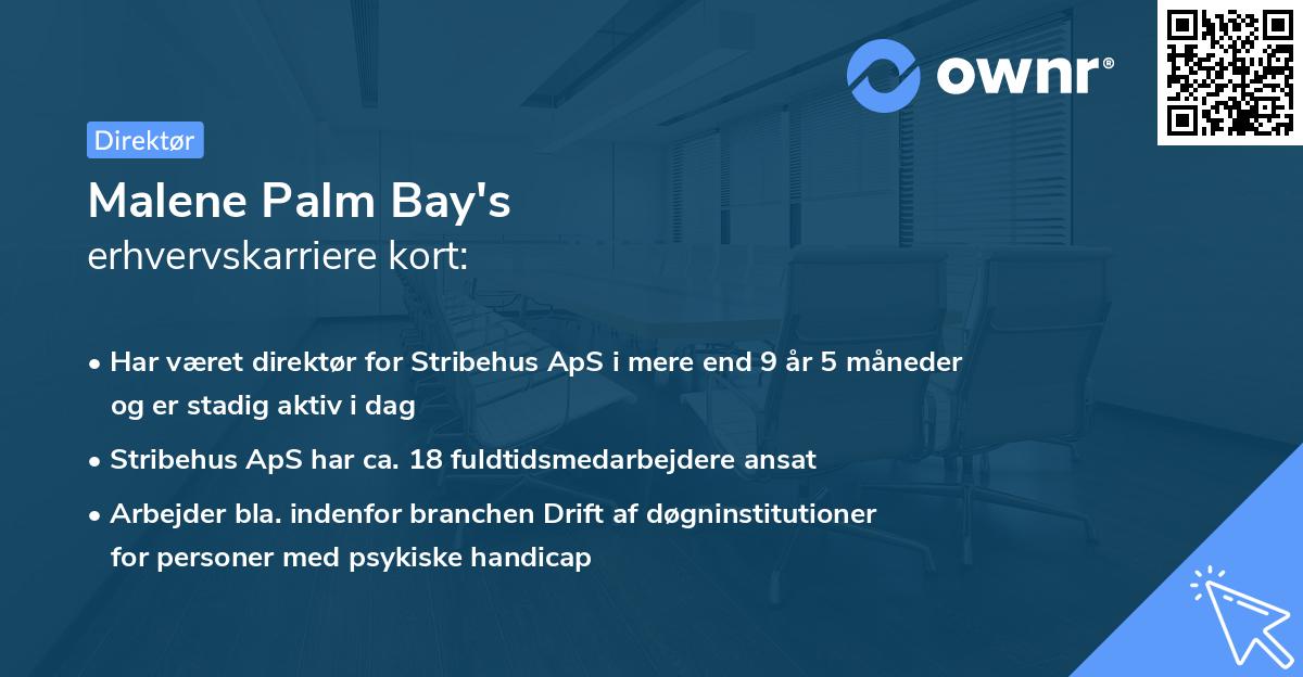Malene Palm Bay's erhvervskarriere kort