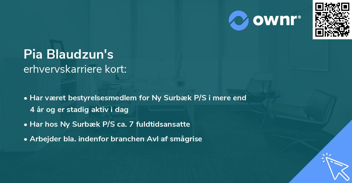 Pia Blaudzun's erhvervskarriere kort