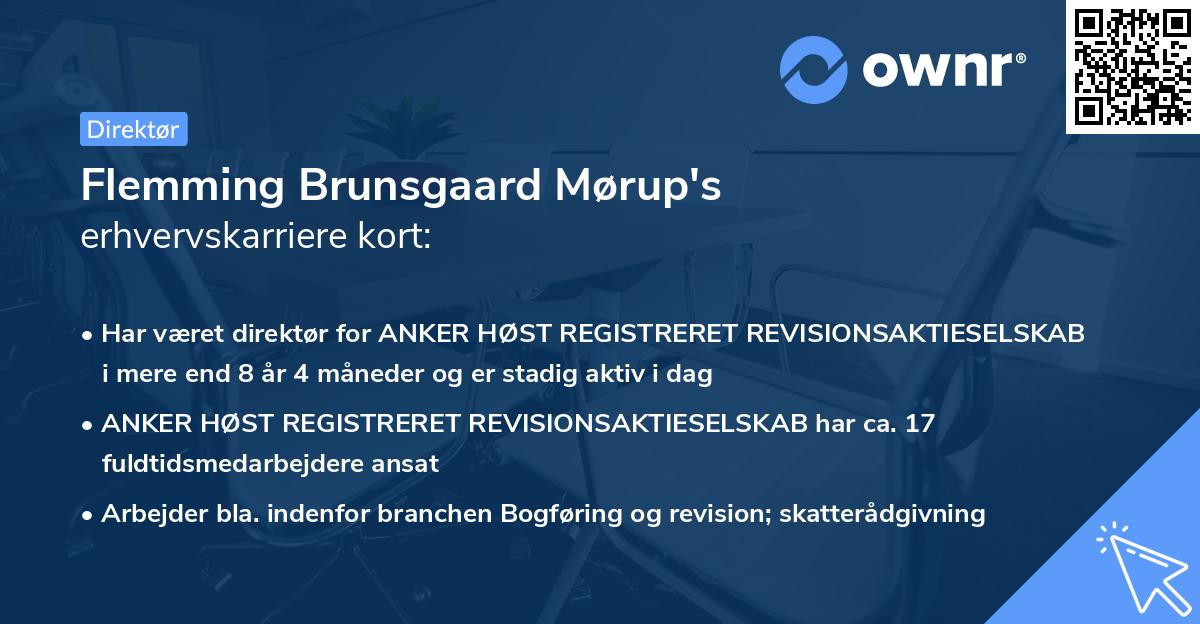 Flemming Brunsgaard Mørup's erhvervskarriere kort