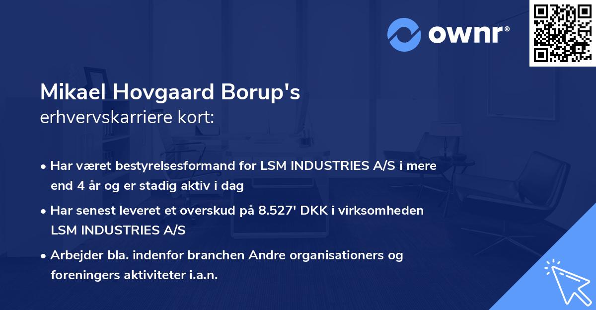 Mikael Hovgaard Borup's erhvervskarriere kort