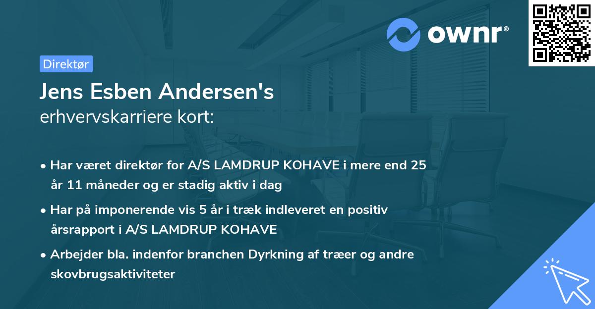 Jens Esben Andersen's erhvervskarriere kort
