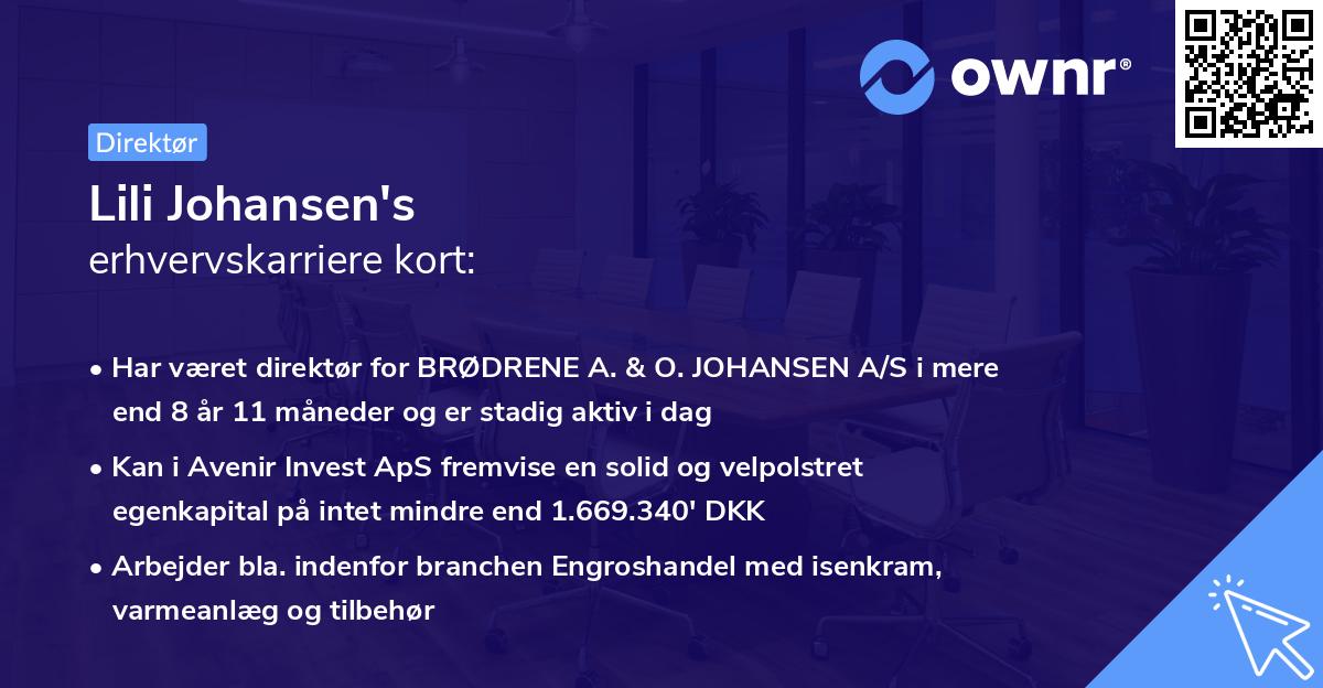 Lili Johansen's erhvervskarriere kort