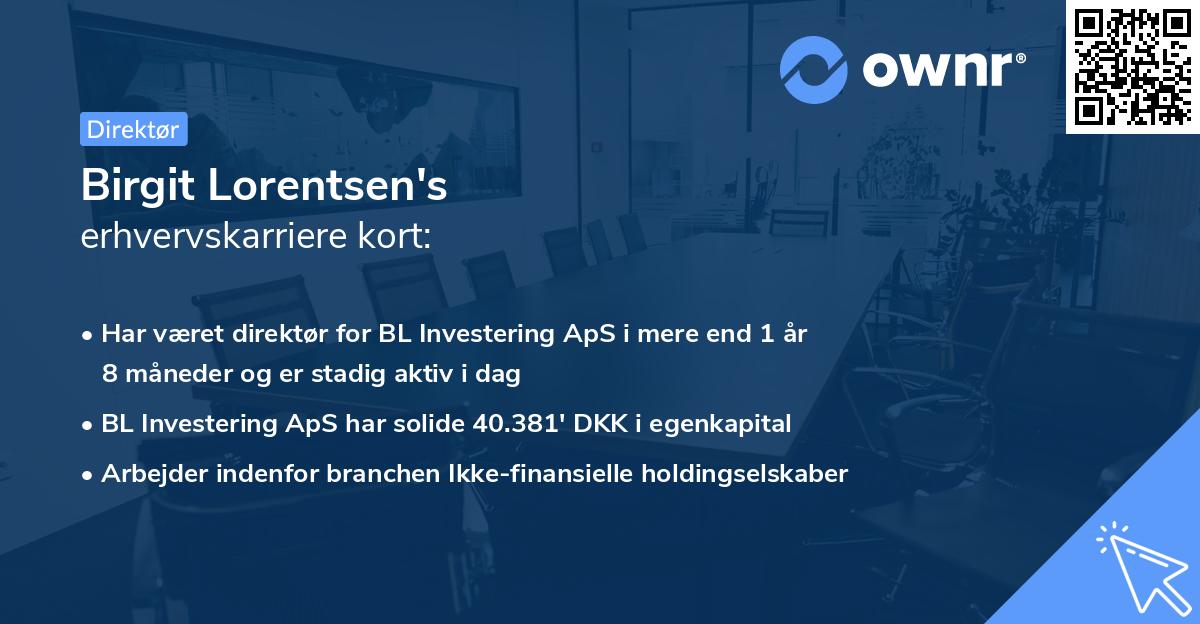 Birgit Lorentsen's erhvervskarriere kort