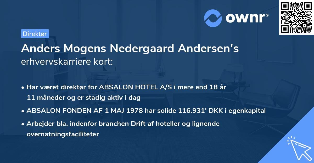 Anders Mogens Nedergaard Andersen's erhvervskarriere kort