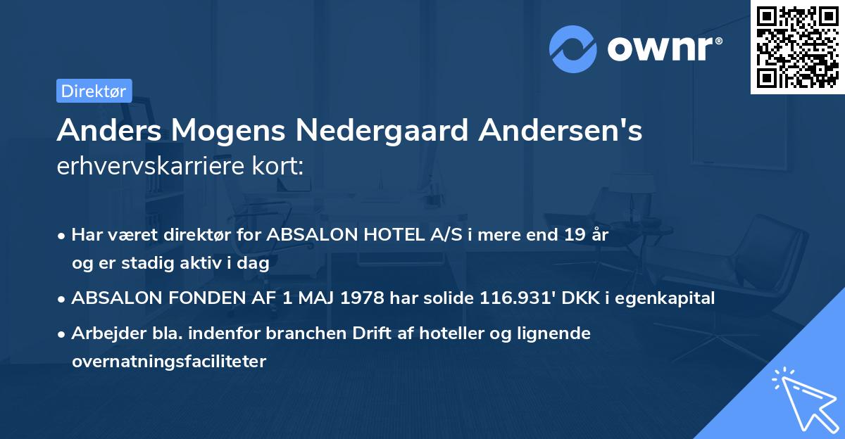 Anders Mogens Nedergaard Andersen's erhvervskarriere kort