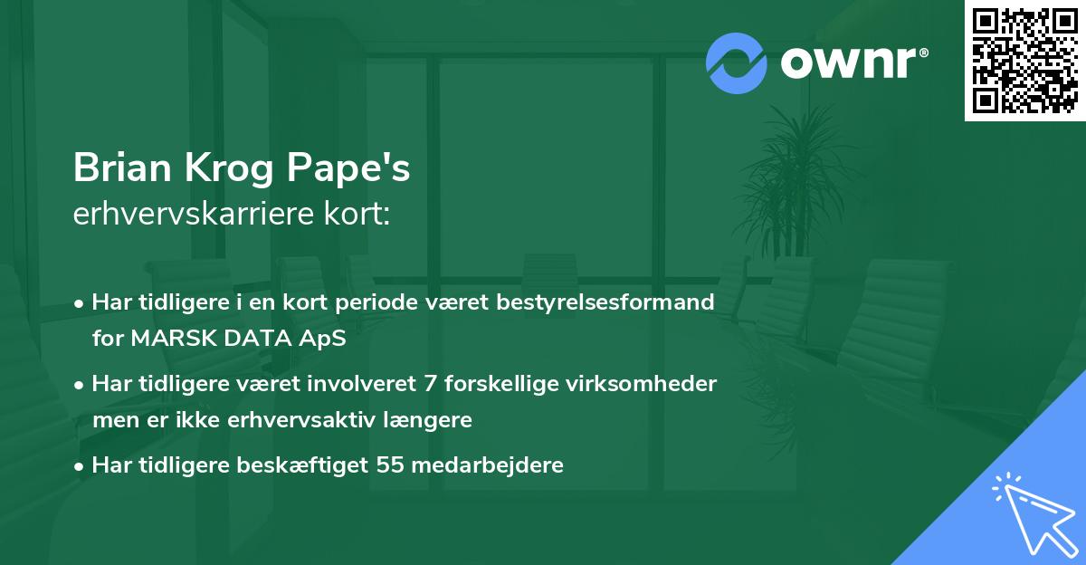 Brian Krog Pape's erhvervskarriere kort