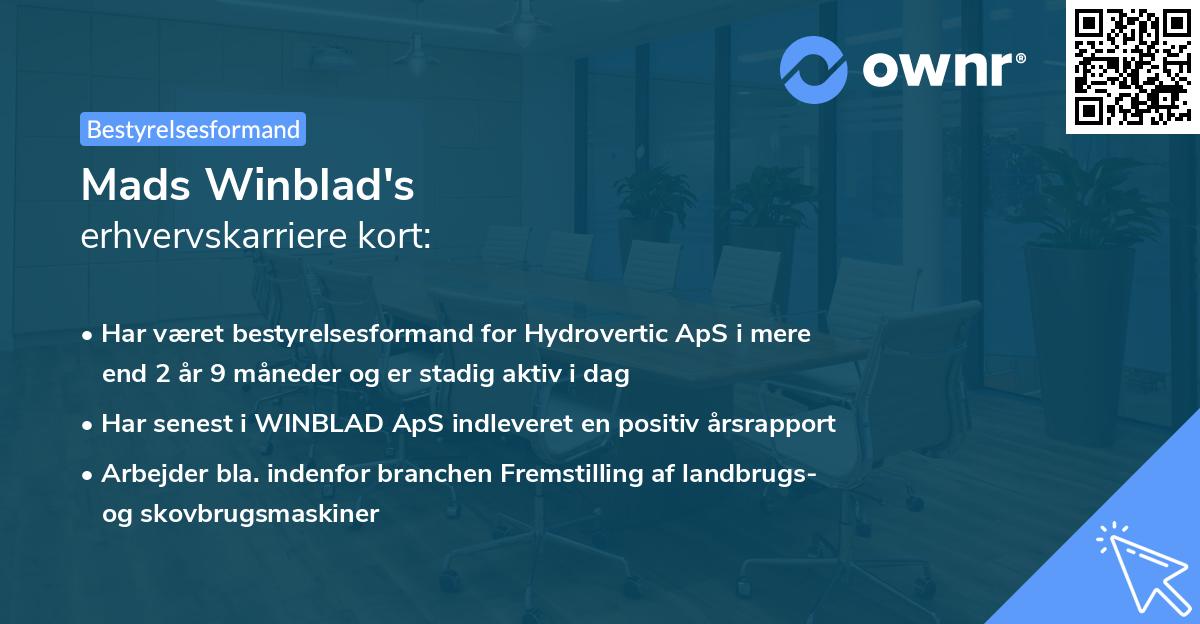 Mads Winblad's erhvervskarriere kort