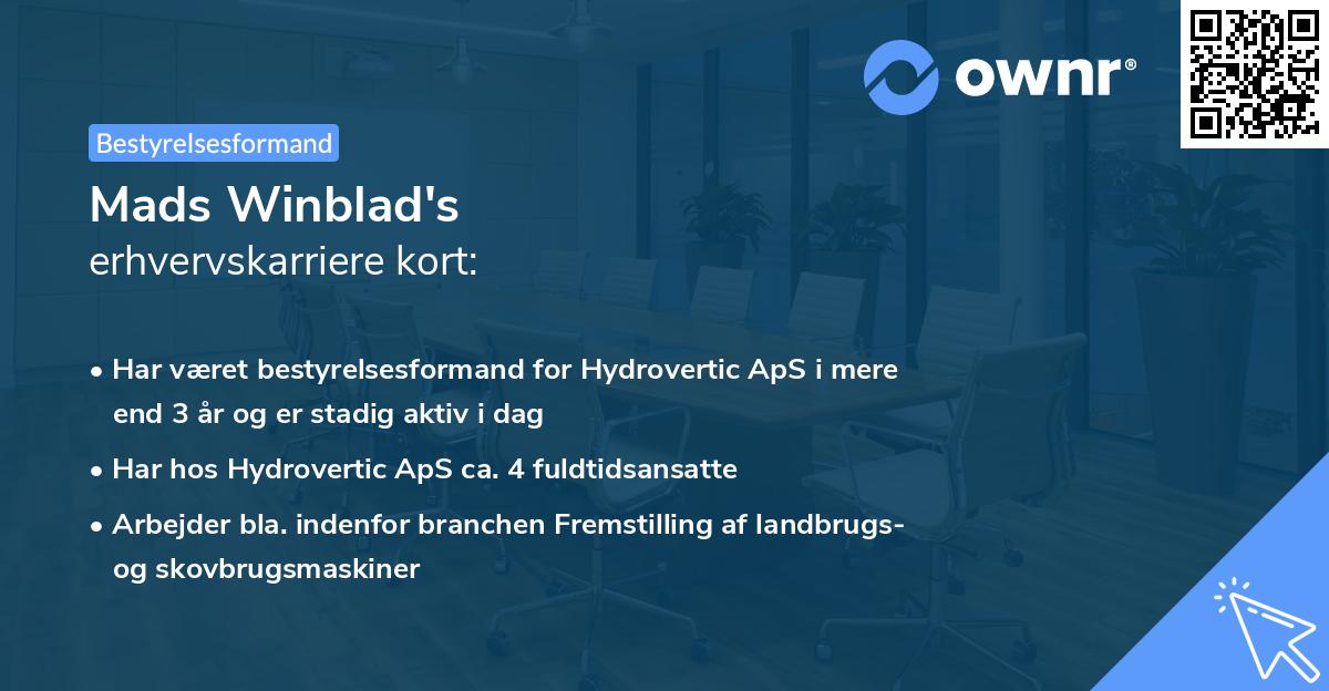 Mads Winblad's erhvervskarriere kort